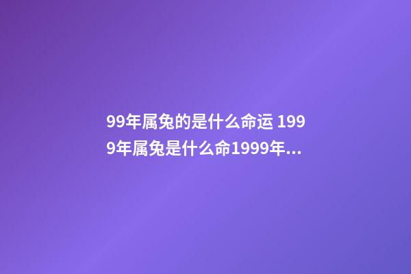 99年属兔的是什么命运 1999年属兔是什么命1999年属兔人一生命运-第1张-观点-玄机派